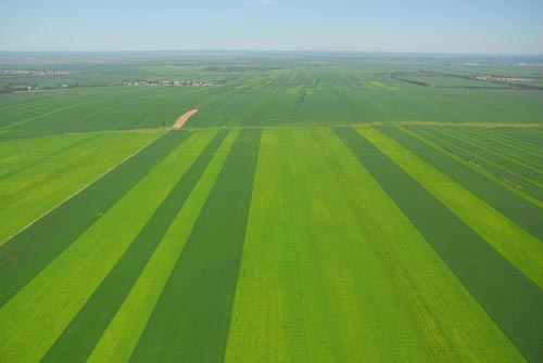 無(wú)土栽培,無(wú)土栽培技術(shù),無(wú)土栽培設(shè)備