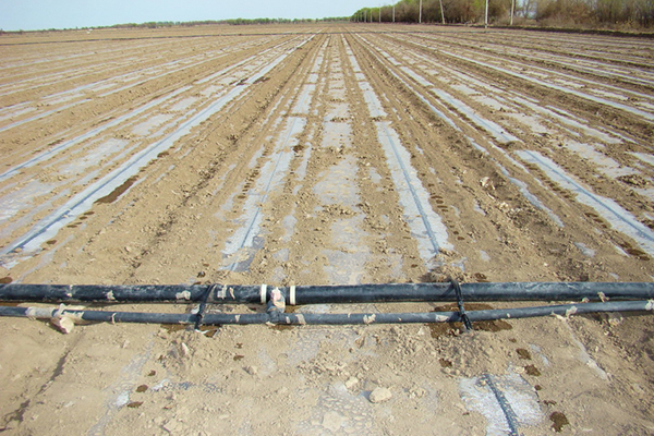 無土栽培，無土栽培技術，無土栽培設備