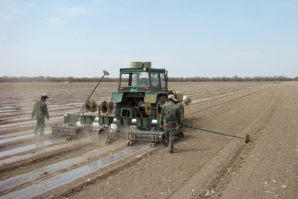 無土栽培，無土栽培技術，無土栽培設備