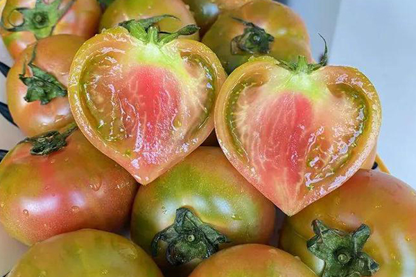 無(wú)土栽培，無(wú)土栽培技術(shù)，無(wú)土栽培設(shè)備