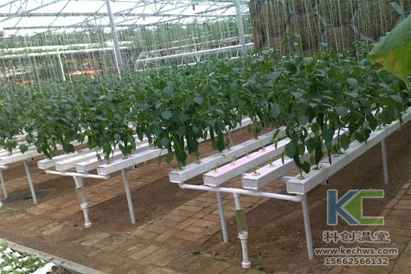 無土栽培，無土栽培技術，無土栽培設備