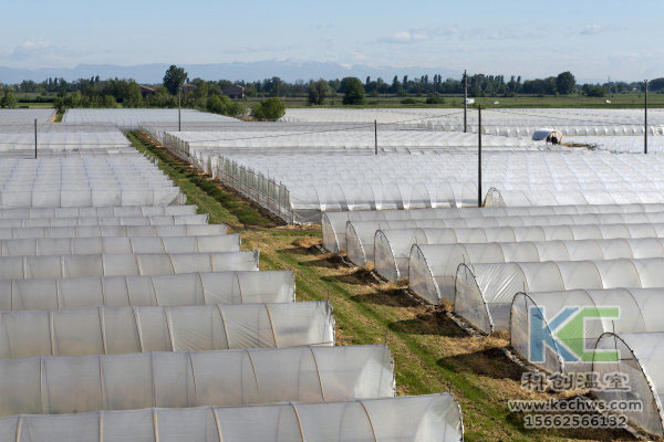 無土栽培，無土栽培技術(shù)，無土栽培設(shè)備