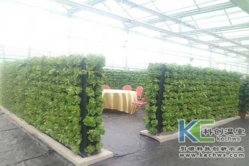 無(wú)土栽培，無(wú)土栽培技術(shù)，無(wú)土栽培設(shè)備