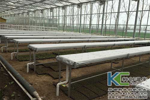 無土栽培，無土栽培技術，無土栽培設備