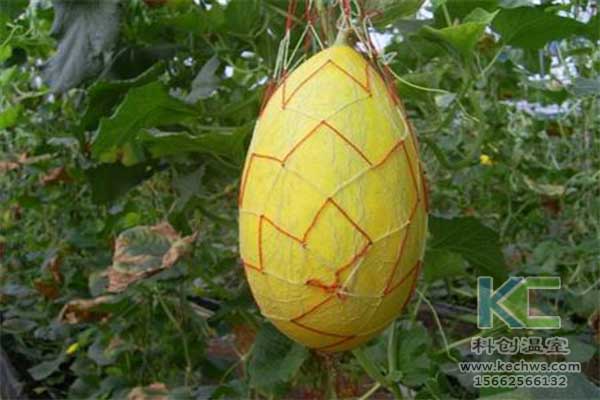 無土栽培,無土栽培技術,無土栽培設備