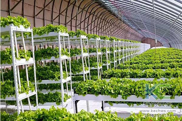 無土栽培，無土栽培技術，無土栽培基質(zhì)