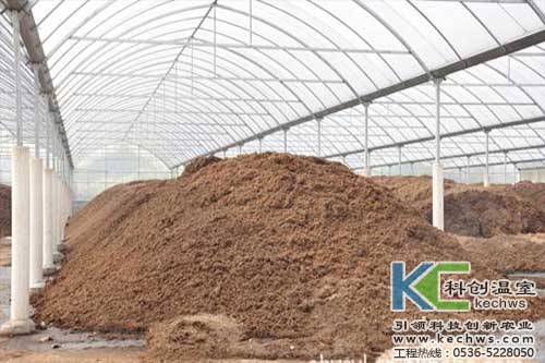 無(wú)土栽培，無(wú)土栽培技術(shù)，無(wú)土栽培基質(zhì)