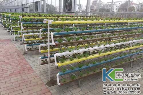 無土栽培，無土栽培技術，無土栽培設備