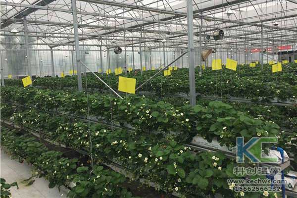 無土栽培，無土栽培技術，無土栽培設備