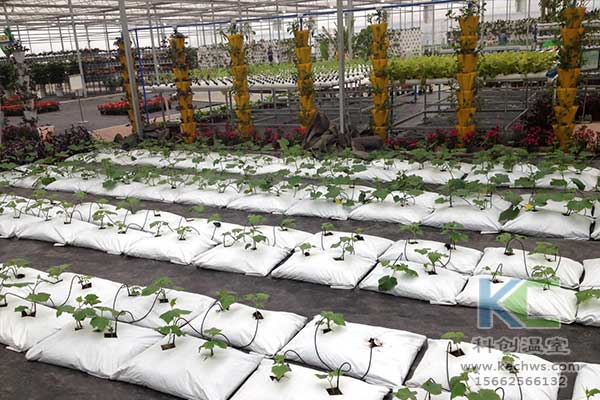 無土栽培，無土栽培技術，無土栽培設備