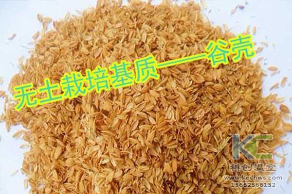 無土栽培，無土栽培技術