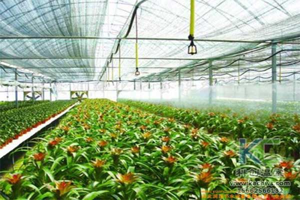 無土栽培，無土栽培技術(shù)，無土栽培設(shè)備