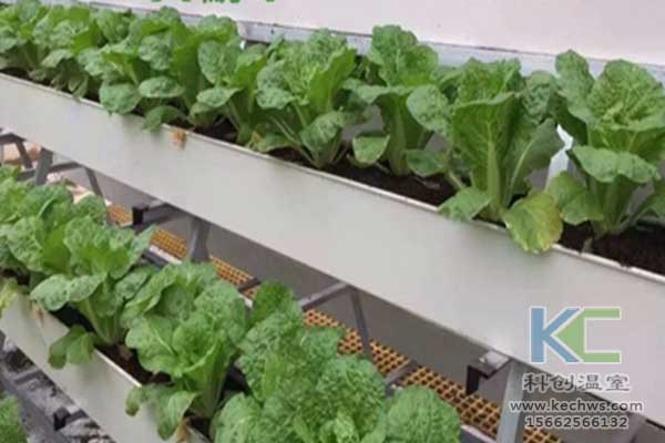 無土栽培，無土栽培技術(shù)，無土栽培設備