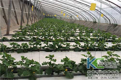 無土栽培，無土栽培技術，無土栽培設備