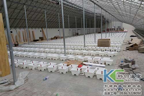 山西,無土栽培,無土栽培技術