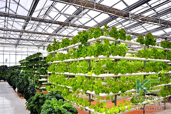 無土栽培，無土栽培技術，無土栽培設備