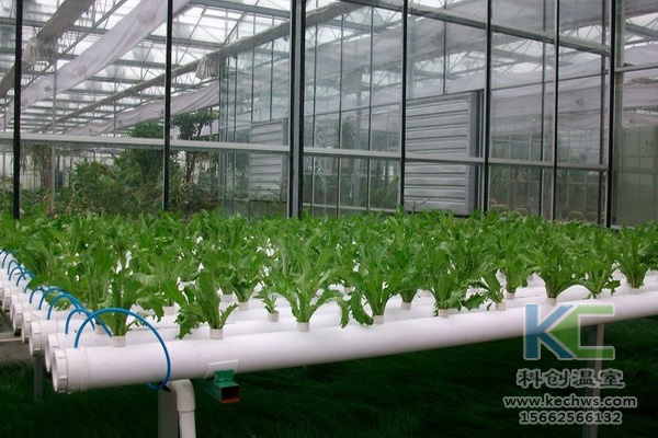 蔬菜無(wú)土栽培，無(wú)土栽培技術(shù)，無(wú)土栽培設(shè)備，無(wú)土栽培