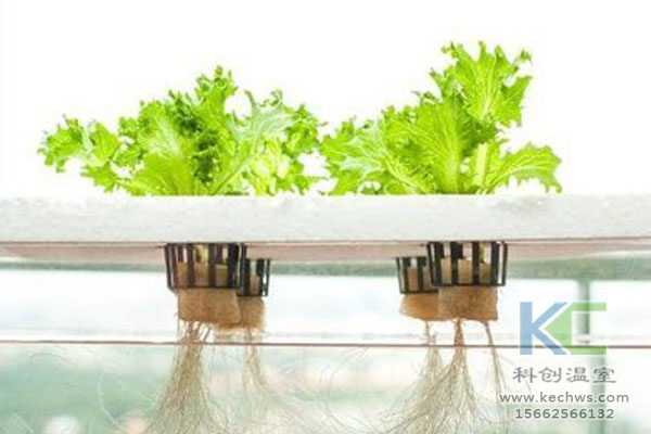 無(wú)土栽培設(shè)備，無(wú)土栽培技術(shù)，無(wú)土栽培，溫室大棚