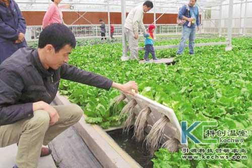 無土栽培，無土栽培技術，無土栽培設備
