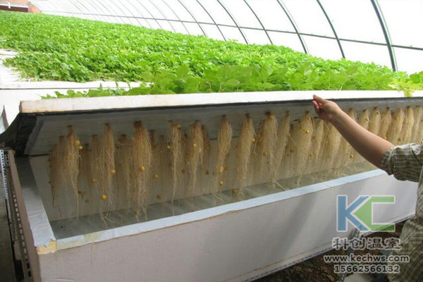 無土栽培,設(shè)備,無土栽培設(shè)備,設(shè)施