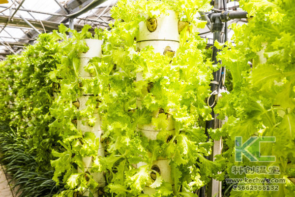 無土栽培，無土栽培技術(shù)，無土栽培設(shè)備