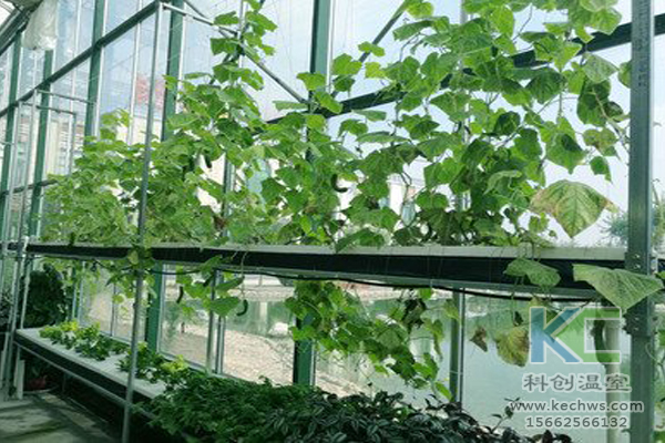 無土栽培蔬菜，無土栽培技術，無土栽培設備，溫室大棚