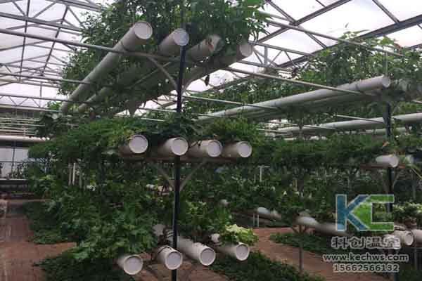 無(wú)土栽培技術(shù)，蔬菜大棚建設(shè)，溫室大棚，無(wú)土栽培