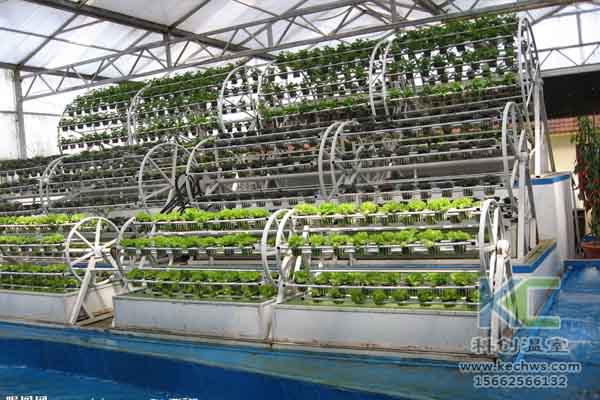 無土栽培技術，溫室大棚造價，蔬菜大棚，無土栽培
