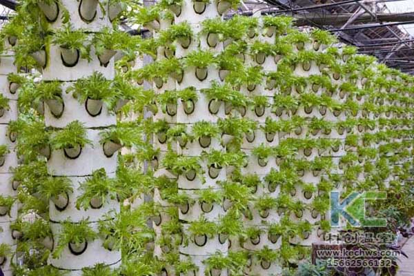 無土栽培，無土栽培技術，無土栽培設備，蔬菜栽培