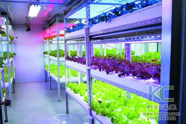 蔬菜無(wú)土栽培，無(wú)土栽培技術(shù)，無(wú)土栽培設(shè)備，無(wú)土栽培