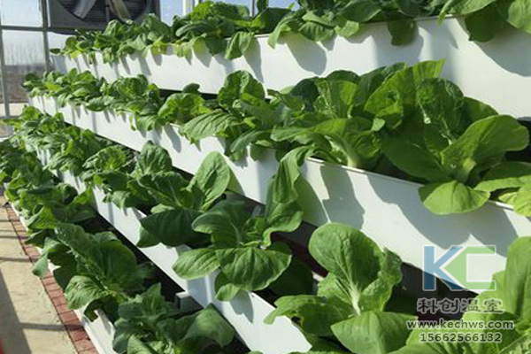 蔬菜無(wú)土栽培，無(wú)土栽培技術(shù)，無(wú)土栽培設(shè)備，無(wú)土栽培