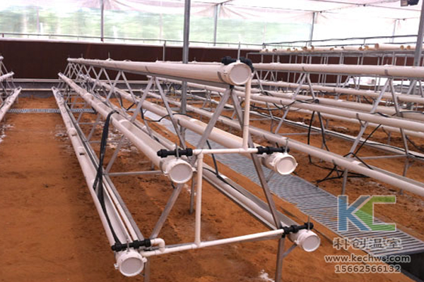 有機蔬菜栽培，無土栽培技術(shù)，無土栽培，溫室大棚