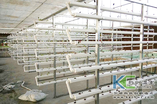 無土栽培,基質栽培,水培