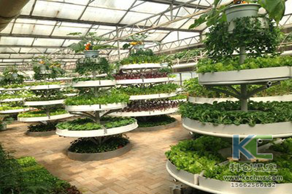無(wú)土栽培技術(shù)，無(wú)土栽培設(shè)備，無(wú)土栽培，溫室大棚