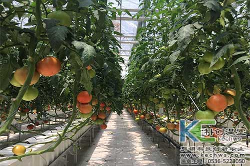 箱式無土栽培，無土栽培