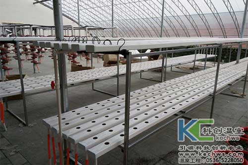 山西,無土栽培,無土栽培技術