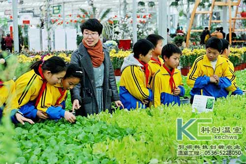 無土栽培，無土栽培技術，無土栽培設備