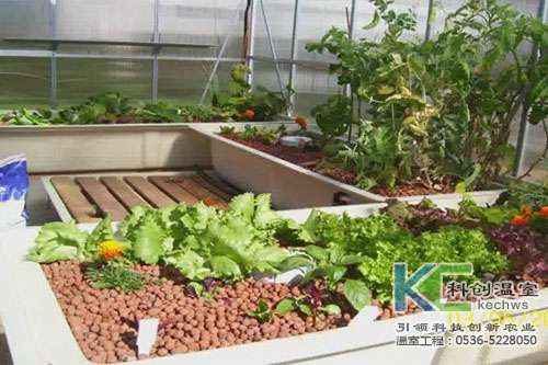 無土栽培，無土栽培技術(shù)，無土栽培設(shè)備