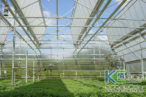 無土栽培，無土栽培技術，無土栽培設備