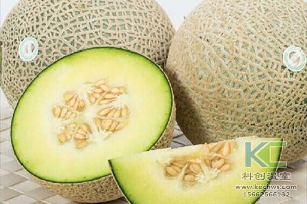 無土栽培,無土栽培技術,無土栽培設備