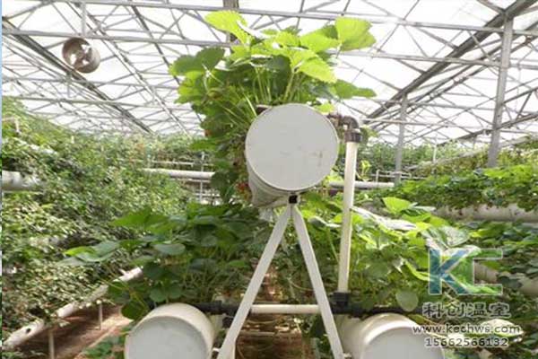 無土栽培,無土栽培技術,無土栽培設備