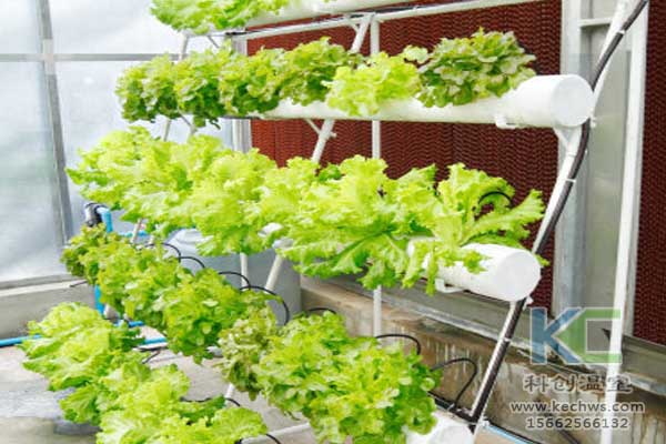 無土栽培,無土栽培技術(shù),無土栽培設(shè)備