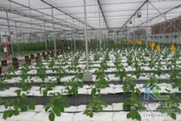 無土栽培，無土栽培技術