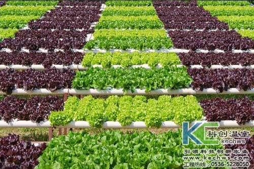 無土栽培，無土栽培技術(shù)，無土栽培設(shè)備