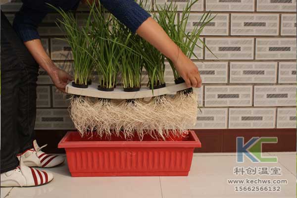 無(wú)土栽培，無(wú)土栽培技術(shù)，無(wú)土栽培設(shè)備