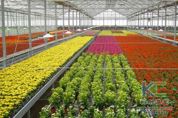 無土栽培，無土栽培技術，無土栽培設備