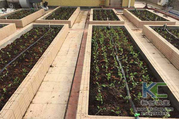 無土栽培，無土栽培技術，無土栽培設備
