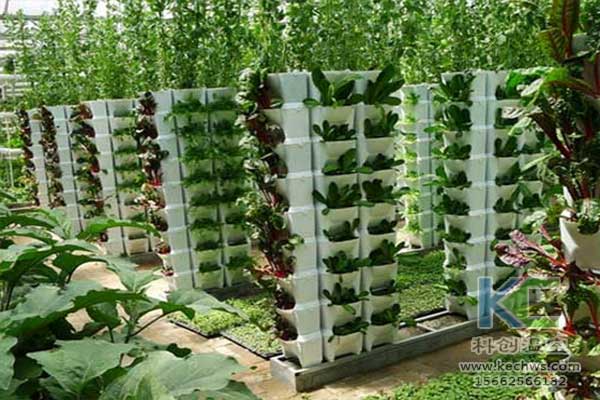 無土栽培，無土栽培技術，無土栽培設備