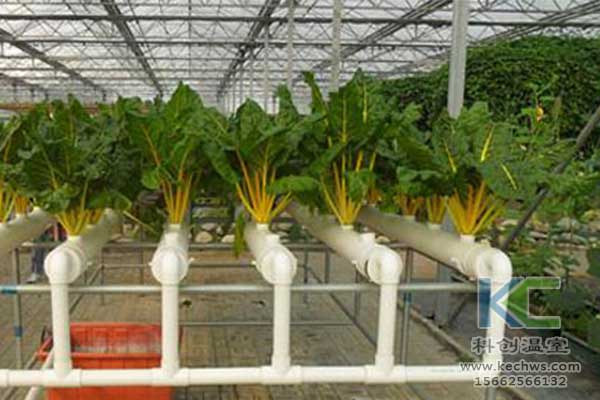 無土栽培，無土栽培技術
