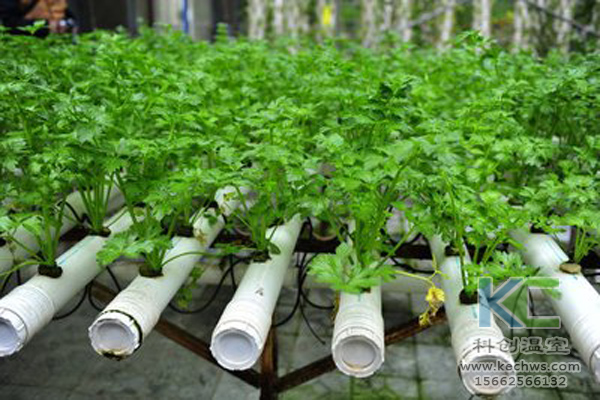 無土栽培，無土栽培技術，無土栽培設備